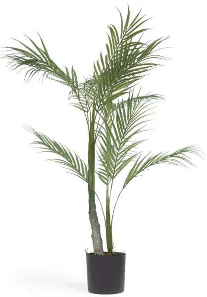 Palmera, keinotekoinen kasvi, musta, H70x70x60 cm