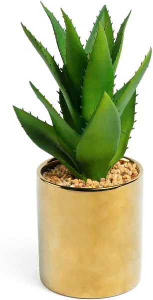 Agave, tekokkas, kulta/vihreä, H11x20x20 cm