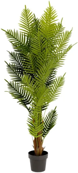 Palmera, keinotekoinen kasvi, vihreä/musta, H150x70x70 cm