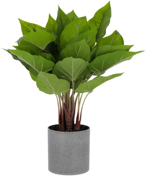 Anthurium, keinotekoinen kasvi, vihreä/harmaa, H50x40x40 cm