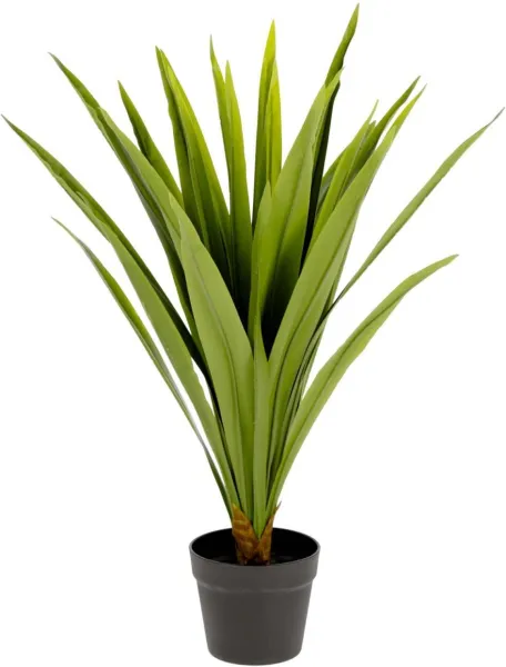 Yucca, keinotekoinen kasvi, vihreä/musta, H80x60x60 cm