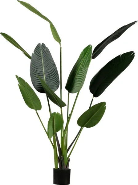 Strelitzia, keinotekoinen kasvi, vihreä, H164x96x63 cm
