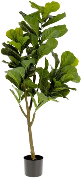 Ficus, keinotekoinen kasvi, vihreä/musta, H150x60x60 cm